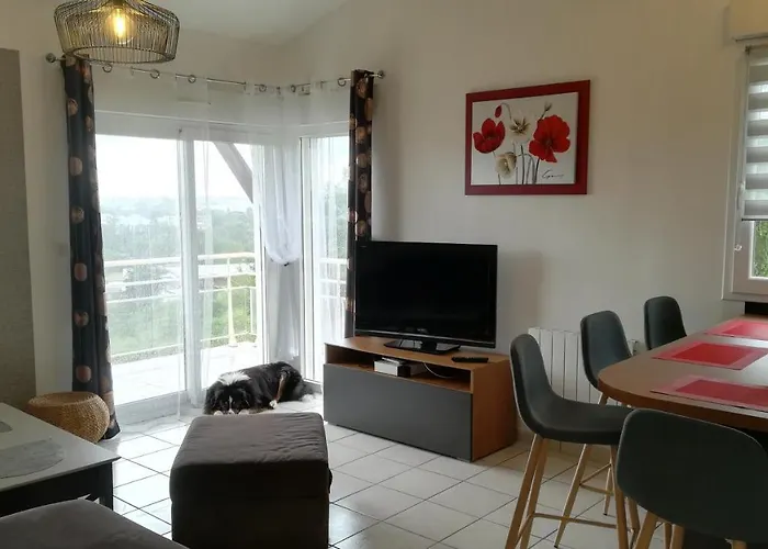 L Hibiscus 约泽克